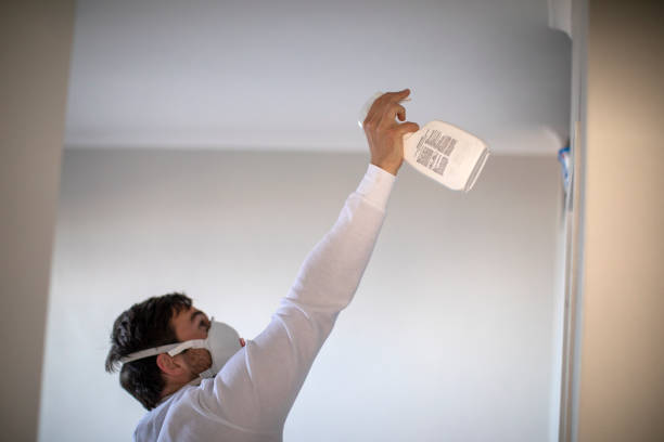 Best Certified Mold Removal  in Lonville, GA