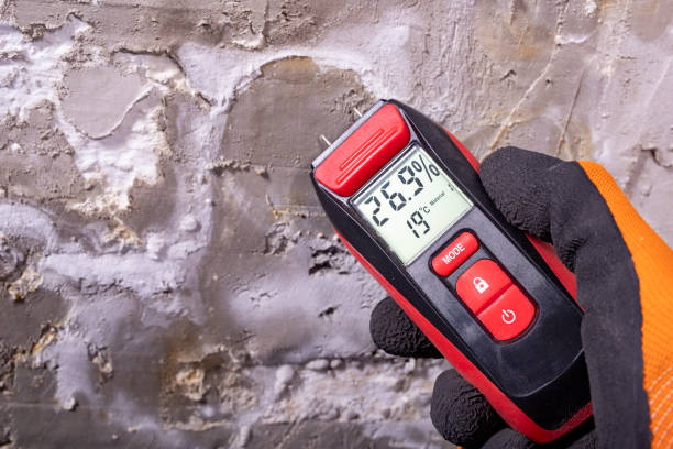 Mold Removal Process in Loganville, GA