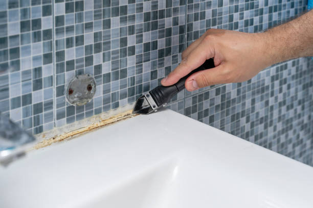 Best Best Mold Removal Companies  in Lonville, GA