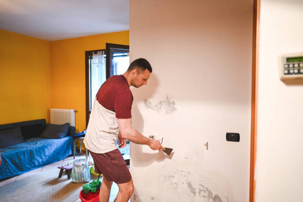 Best Best Mold Removal Companies  in Lonville, GA